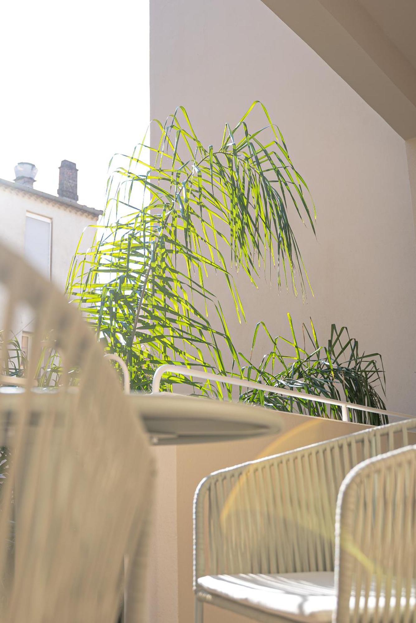 Studios Raffines Avec Terrasses - Plages, Ville Et Gare A Pied - Maison Raphael Saint-Raphael  Luaran gambar